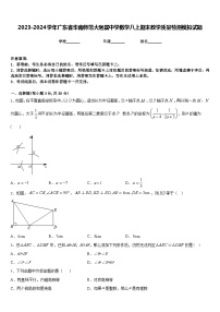 2023-2024学年广东省华南师范大附属中学数学八上期末教学质量检测模拟试题含答案