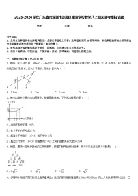 2023-2024学年广东省市深圳市龙岗区南湾学校数学八上期末联考模拟试题含答案