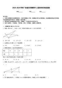 2023-2024学年广东省五华县数学八上期末综合测试试题含答案