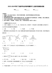 2023-2024学年广东省中学山市板芙镇数学八上期末检测模拟试题含答案