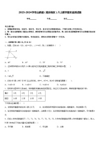 2023-2024学年山西省（临汾地区）八上数学期末监测试题含答案