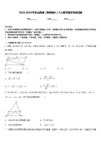 2023-2024学年山西省（朔州地区）八上数学期末检测试题含答案