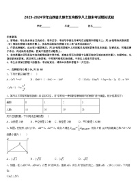 2023-2024学年山西省太原市五育数学八上期末考试模拟试题含答案