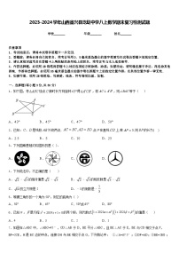 2023-2024学年山西省兴县圪垯中学八上数学期末复习检测试题含答案