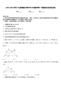 2023-2024学年广东省潮阳区华侨中学八年级数学第一学期期末达标测试试题含答案