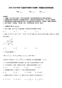 2023-2024学年广东省恩平市数学八年级第一学期期末达标检测试题含答案