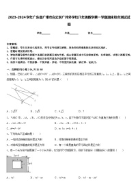 2023-2024学年广东省广州市白云区广外外学校八年级数学第一学期期末综合测试试题含答案