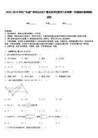 2023-2024学年广东省广州市白云区广雅实验学校数学八年级第一学期期末调研模拟试题含答案