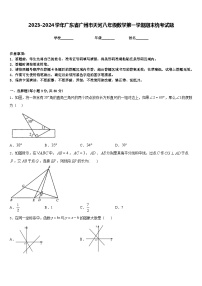 2023-2024学年广东省广州市天河八年级数学第一学期期末统考试题含答案