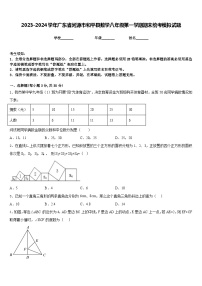 2023-2024学年广东省河源市和平县数学八年级第一学期期末统考模拟试题含答案