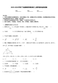 2023-2024学年广东省惠州市惠东县八上数学期末监测试题含答案