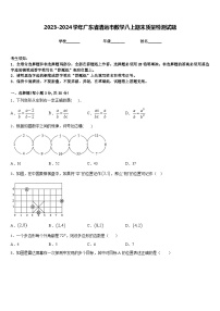 2023-2024学年广东省清远市数学八上期末质量检测试题含答案