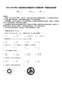 2023-2024学年广东省深圳百合外国语学校八年级数学第一学期期末监测试题含答案