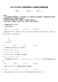 2023-2024学年广东省珠海市数学八上期末复习检测模拟试题含答案