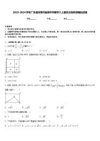 2023-2024学年广东省深圳市高级中学数学八上期末达标检测模拟试题含答案