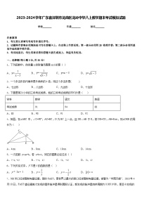 2023-2024学年广东省深圳市龙岗区龙岭中学八上数学期末考试模拟试题含答案