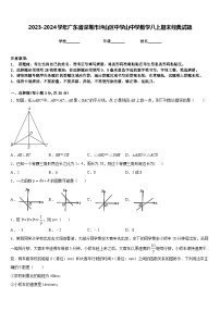 2023-2024学年广东省深圳市坪山区中学山中学数学八上期末经典试题含答案