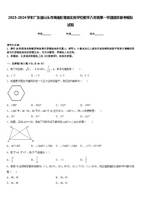 2023-2024学年广东省汕头市潮南区博崇实验学校数学八年级第一学期期末联考模拟试题含答案