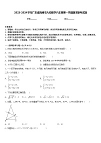 2023-2024学年广东省高州市九校数学八年级第一学期期末联考试题含答案