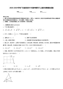 2023-2024学年广东省茂名市十校联考数学八上期末经典模拟试题含答案