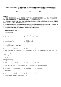 2023-2024学年广东省阳江市东平中学八年级数学第一学期期末统考模拟试题含答案