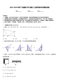 2023-2024学年广东省阳江市江城区八上数学期末考试模拟试题含答案