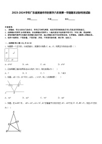 2023-2024学年广东省英德市市区数学八年级第一学期期末达标检测试题含答案