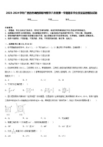 2023-2024学年广西百色靖西县联考数学八年级第一学期期末学业质量监测模拟试题含答案