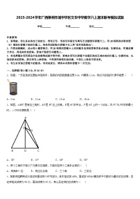 2023-2024学年广西柳州市城中学区文华中学数学八上期末联考模拟试题含答案