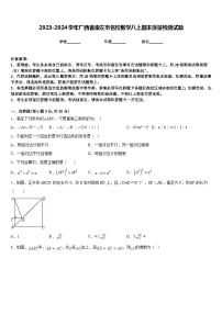 2023-2024学年广西省崇左市名校数学八上期末质量检测试题含答案