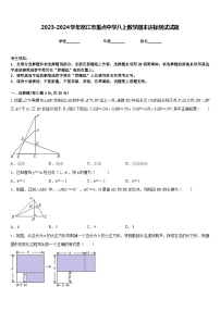 2023-2024学年怒江市重点中学八上数学期末达标测试试题含答案