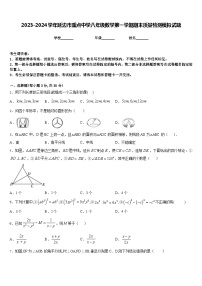 2023-2024学年延边市重点中学八年级数学第一学期期末质量检测模拟试题含答案