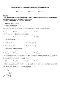 2023-2024学年江苏省南京市联合体数学八上期末经典试题含答案