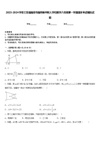 2023-2024学年江苏省南京市南师附中树人学校数学八年级第一学期期末考试模拟试题含答案