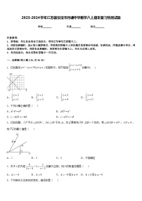 2023-2024学年江苏省仪征市月塘中学数学八上期末复习检测试题含答案