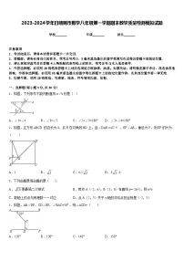 2023-2024学年日喀则市数学八年级第一学期期末教学质量检测模拟试题含答案