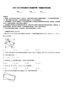 2023-2024学年日照市八年级数学第一学期期末考试试题含答案