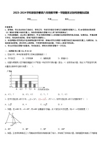 2023-2024学年新疆沙雅县八年级数学第一学期期末达标检测模拟试题含答案