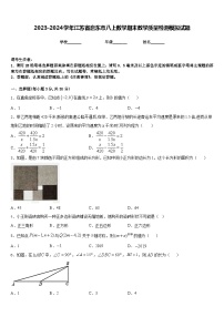 2023-2024学年江苏省启东市八上数学期末教学质量检测模拟试题含答案