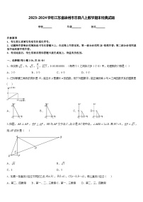 2023-2024学年江苏省徐州市丰县八上数学期末经典试题含答案