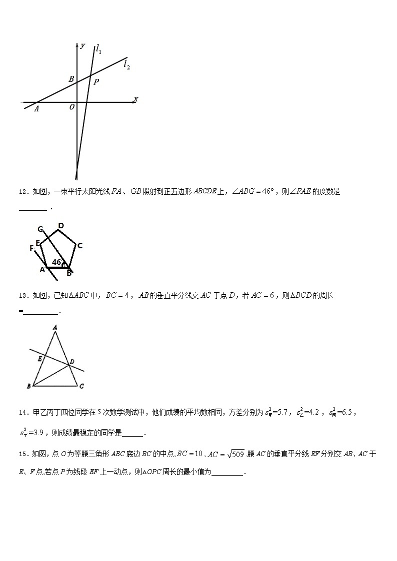 2023-2024学年江苏省江都区黄思中学苏科版数学八上期末达标检测模拟试题含答案03