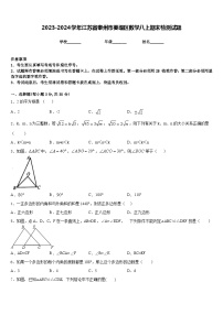 2023-2024学年江苏省泰州市姜堰区数学八上期末检测试题含答案