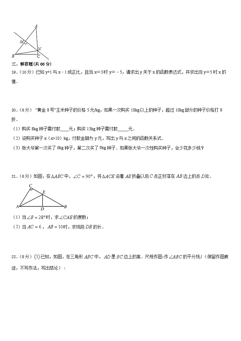 2023-2024学年江苏省泰州市青藤学校数学八上期末监测试题含答案第3页