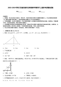 2023-2024学年江苏省无锡市玉祁初级中学数学八上期末考试模拟试题含答案