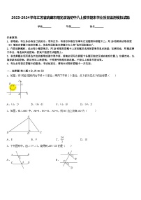 2023-2024学年江苏省高邮市阳光双语初中八上数学期末学业质量监测模拟试题含答案