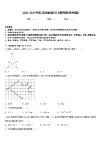 2023-2024学年江苏省金坛区八上数学期末统考试题含答案