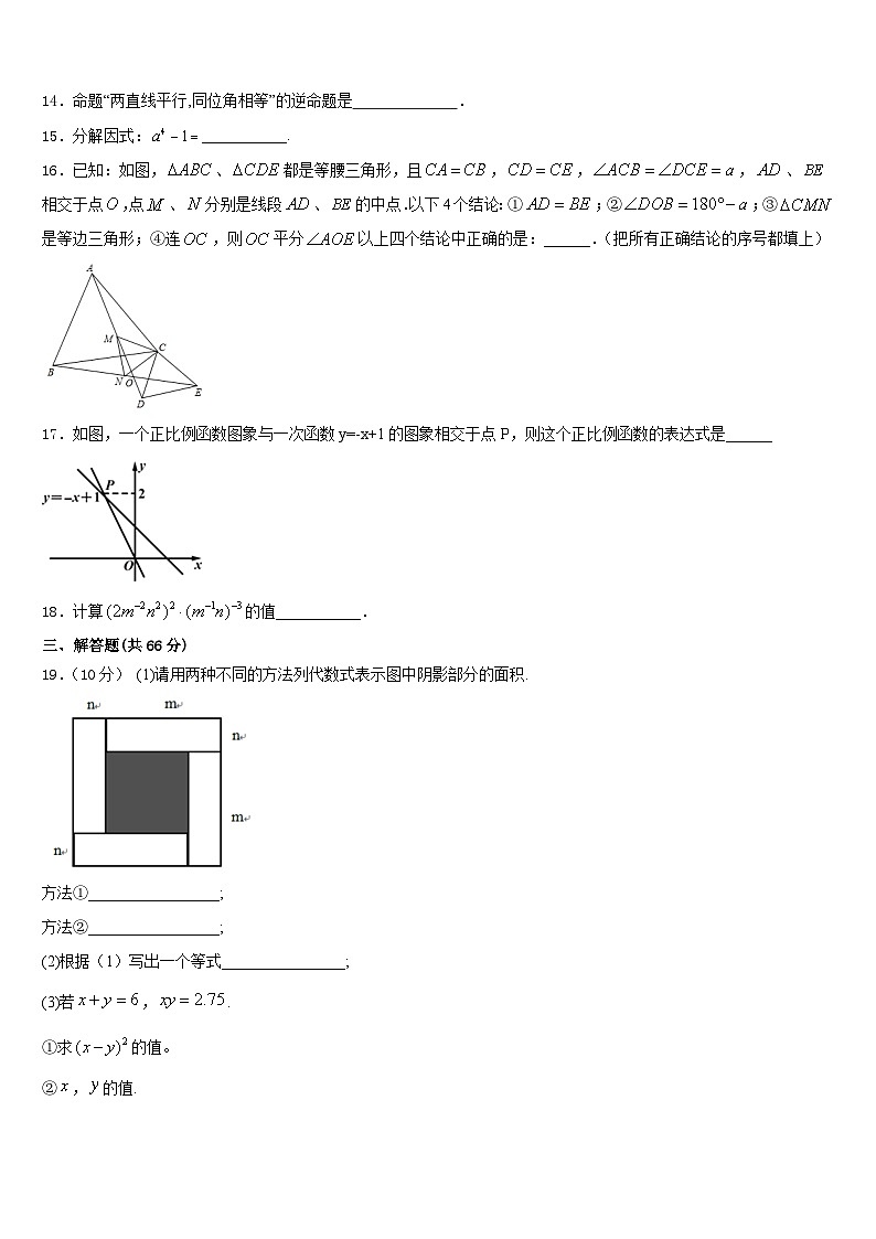 2023-2024学年江苏省苏州市姑苏区数学八年级第一学期期末调研试题含答案第3页