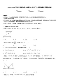 2023-2024学年江苏省苏州市张家港二中学八上数学期末考试模拟试题含答案