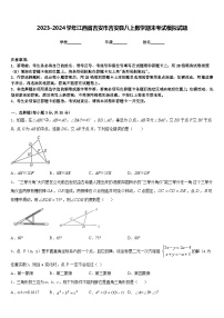 2023-2024学年江西省吉安市吉安县八上数学期末考试模拟试题含答案