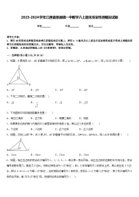 2023-2024学年江西省景德镇一中数学八上期末质量检测模拟试题含答案